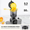 Portatile Cold Press Juicer - High Yield & Easy Clean